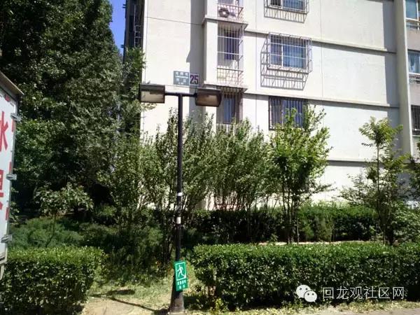 西班牙周末跳蚤市场,跳蚤市场开市啦