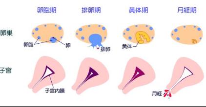 妇科疾病自检知识,妇科疾病自检大全宫颈糜烂