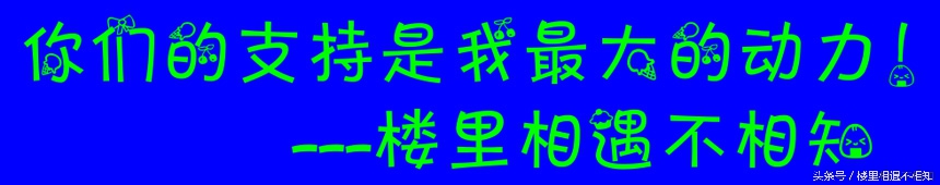 QQ空间个性访客装扮怎么设置的？