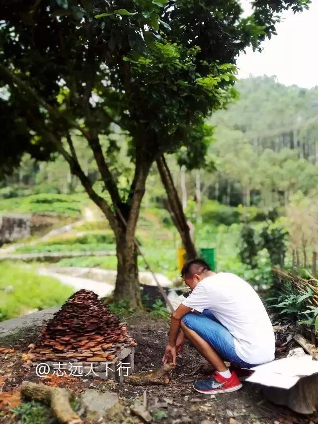 云霄县下河乡七高磜,去云霄不能错过的美食