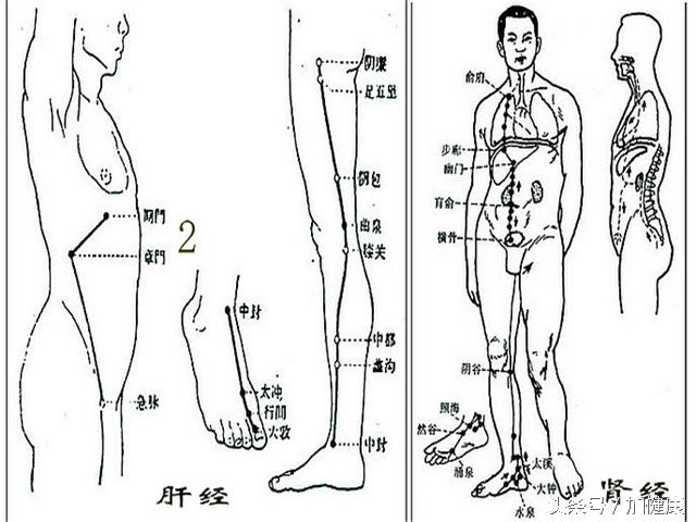 补肾睡功,中医护肝又补肾的古法按摩