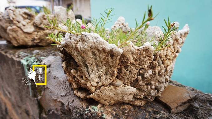 涠洲岛的浪漫旅行,和你去浪漫的涠洲岛