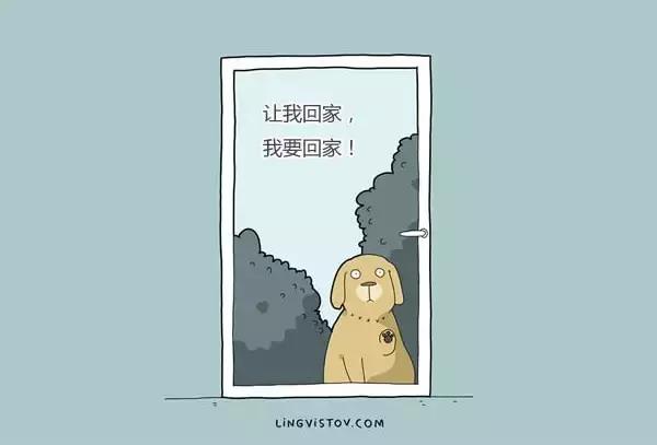 插画师养狗的24个日常,世界上最火的狗插画作品