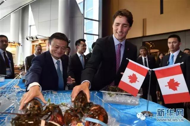 有卖龙虾的，有上街买买买的，来G20的政要画风rio多姿多彩