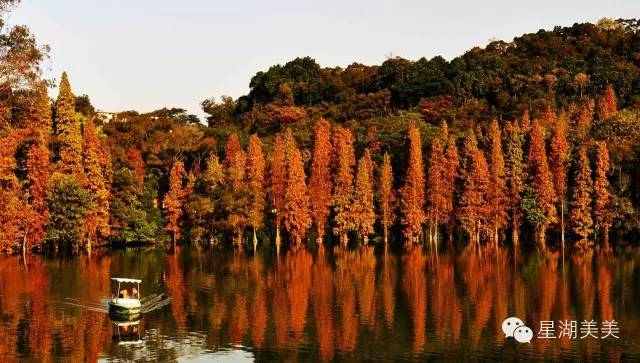 广东肇庆风水大势分析,肇庆风水大揭秘