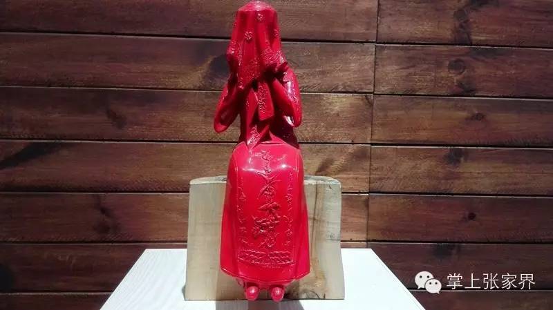 马云去印度投资了吗,张家界旅游投资