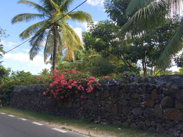 毛里求斯海之旅,毛里求斯惬意旅行