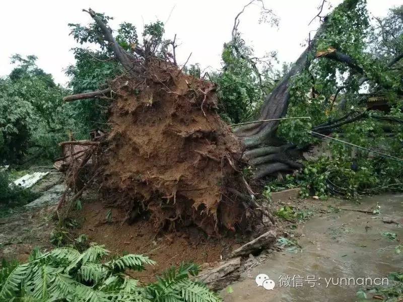 昆明24小时出入境自助,昆明出入境证件办理自助