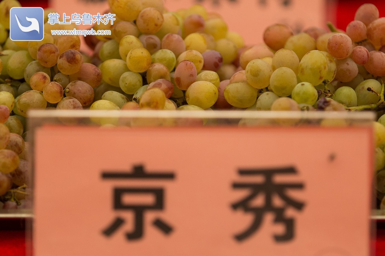 自带花香味的葡萄你吃过吗,吃葡萄不吐葡萄皮的葡萄怎么挑