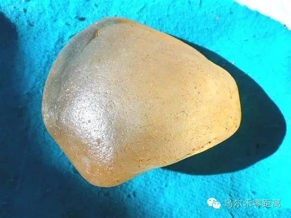 一张图看懂金丝玉,四个字看透人心