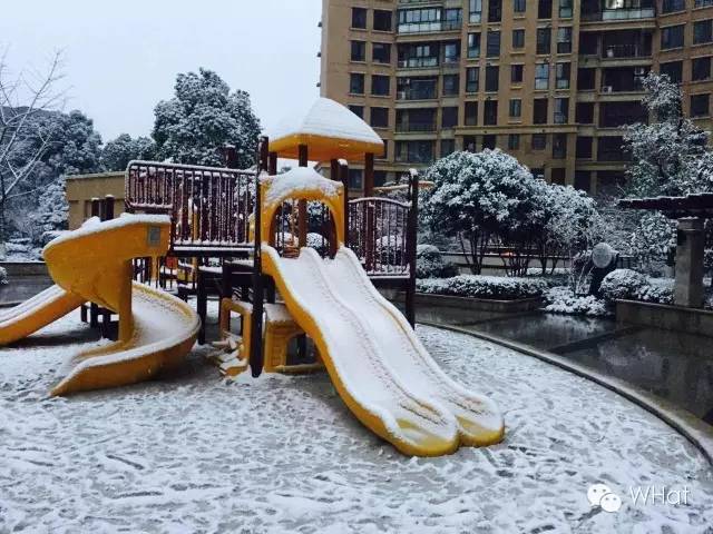 武汉只下一天雪吗,武汉下的是雪吗