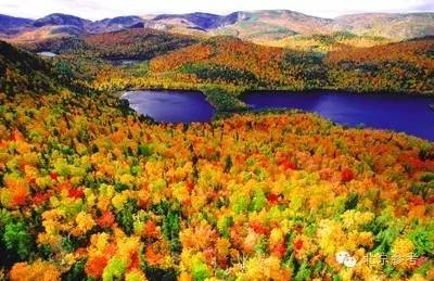 旅行出游十一,旅游十一