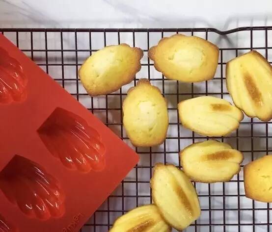 玛德琳模具新款,玛德琳模具单个