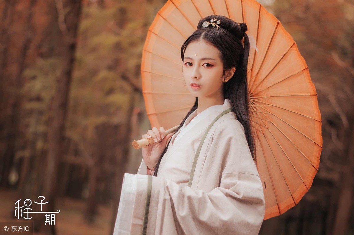 女主扮猪吃老虎的古代搞笑小说,宫斗小说女主扮猪吃老虎