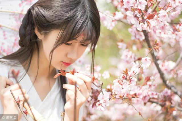 小说：农村丫头和影帝爸爸相认被全网黑，她在综艺做早饭被夸上天