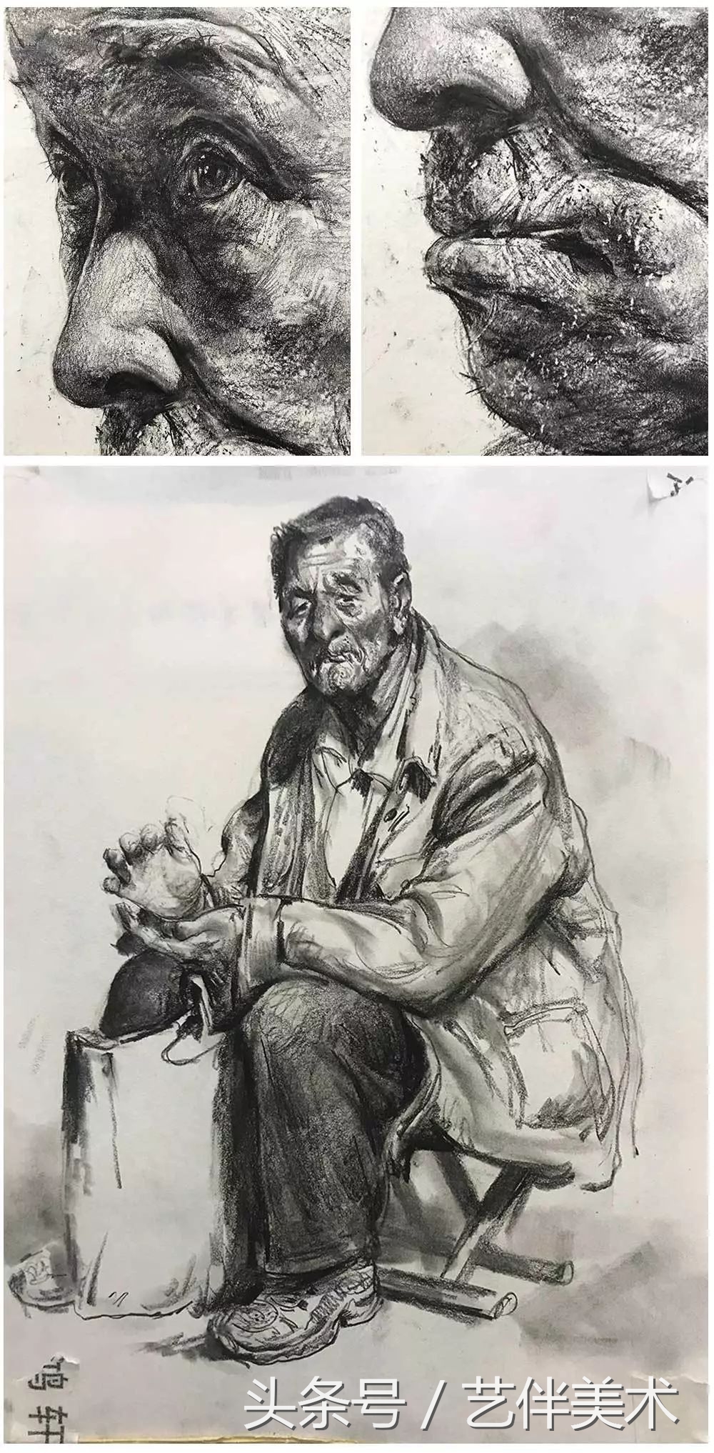 栾树画室——2020届招生简章北京必看画室之一