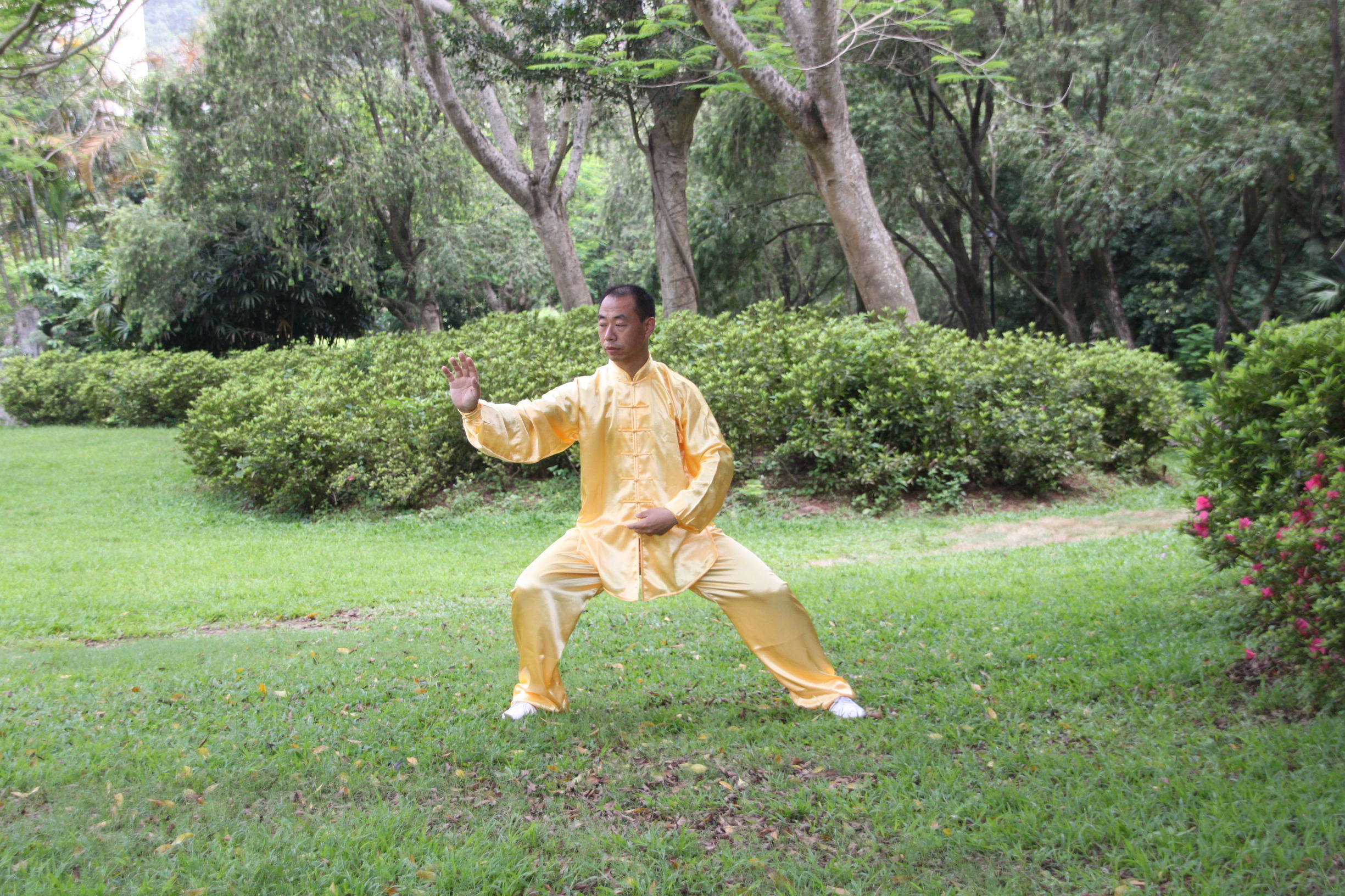 传统太极十三式教学,三丰太极十三式