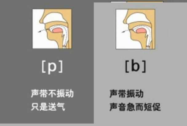 音标表48个国际音标发音教学视频,英语美式音标48个音标谐音图