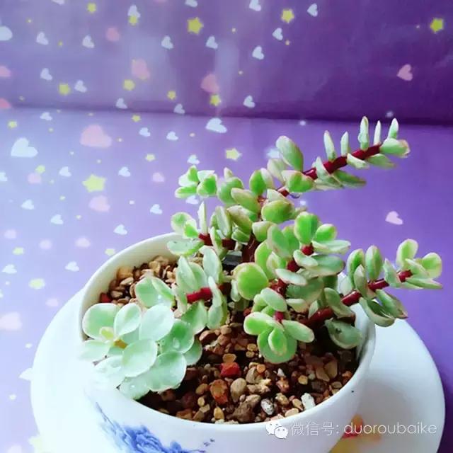 入坑就不能自拔,入坑后无法自拔