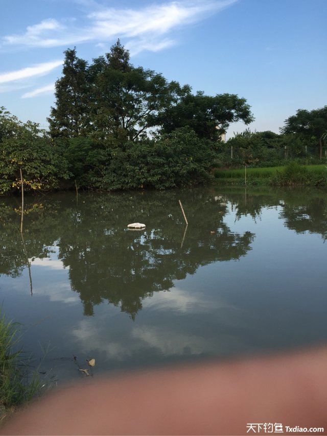 渔品汇产品,渔品汇饵料