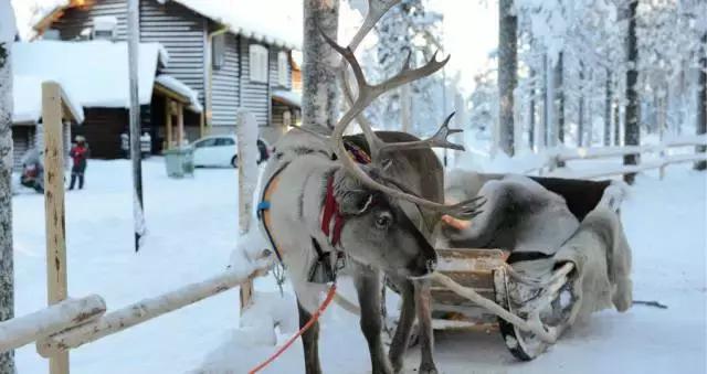 你绝对不知道的iphone强大功能,你可能会忽视的mysql细节