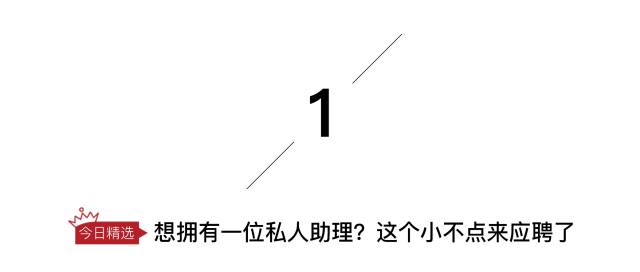 它身材娇小，却是一位很棒的私人助理｜新品抢先看