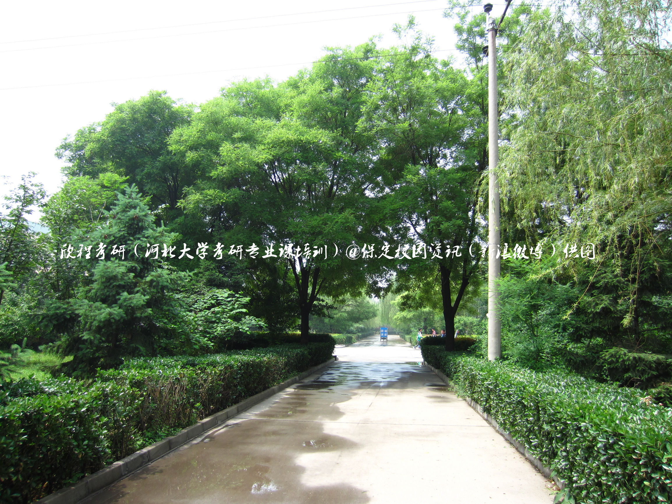 最美校园保定学院,河北最美的学院