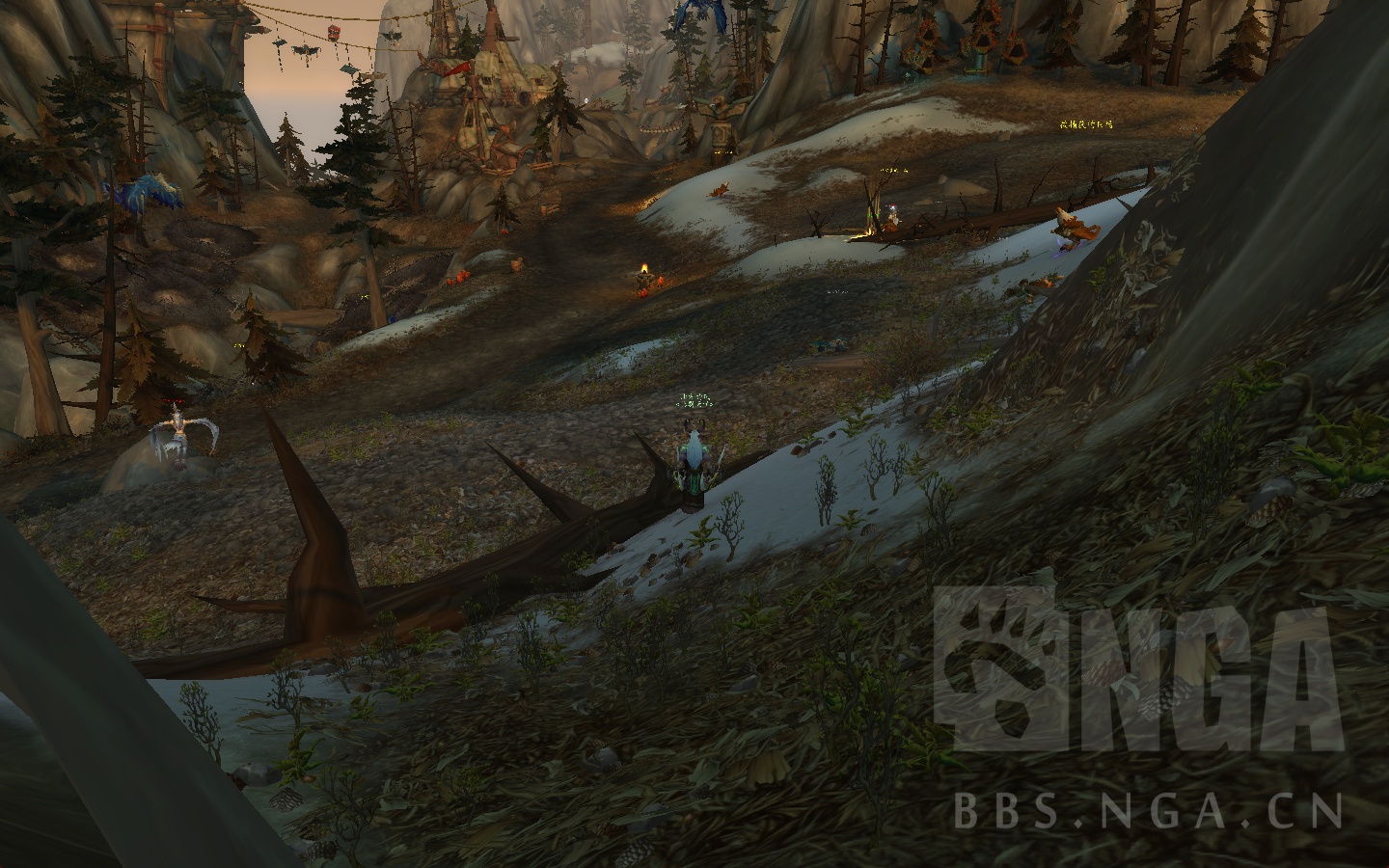 魔兽世界风筝龙玩具,魔兽世界风筝鹏羽位置