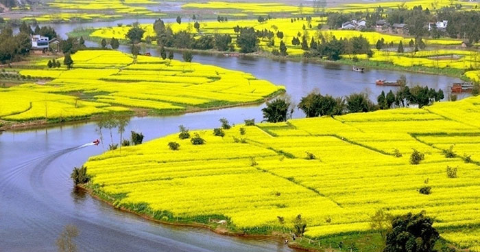 大师镜头拍摄技巧,单反相机摄影高级教程免费视频