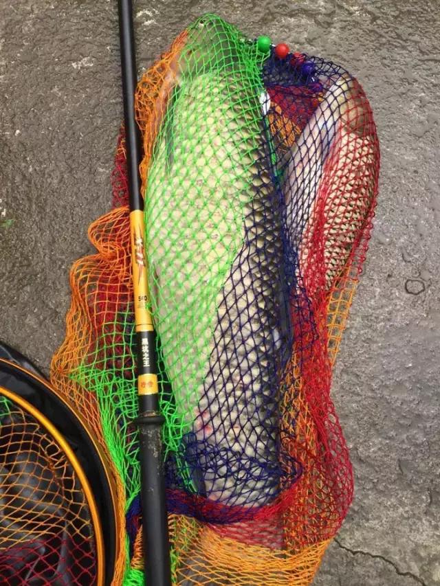 《渔获战报》黑坑之王在此，江湖没有之一