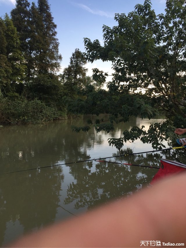 渔品汇产品,渔品汇饵料