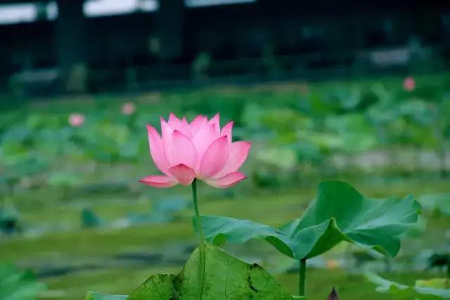 一封火爆全网的辞职信,一封辞职信的心声