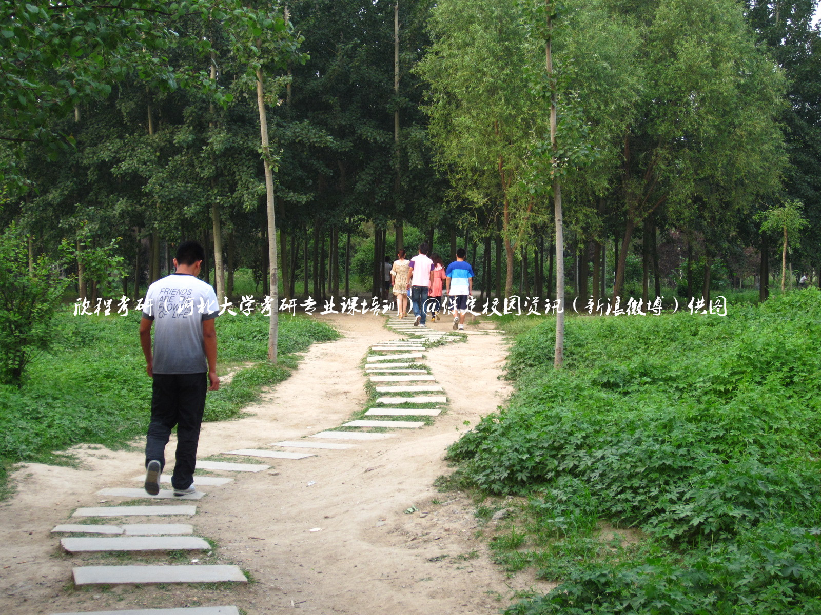 最美校园保定学院,河北最美的学院