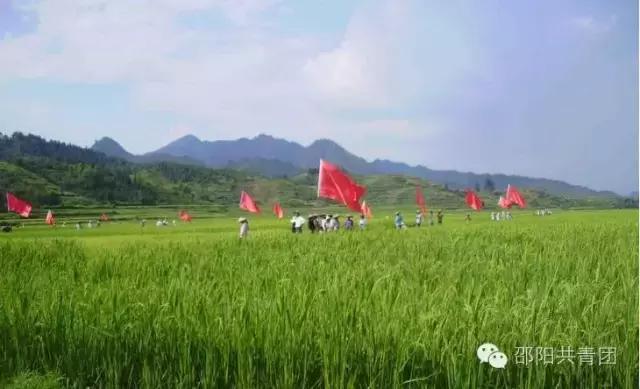 全国首批100个重点镇,邵阳旅游小镇排名