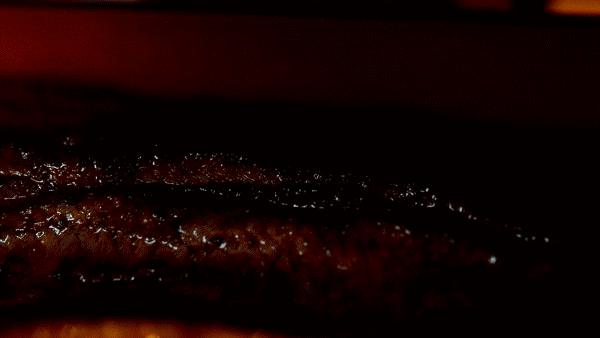 鳗烤肉现烤活鳗鱼探店,食妞