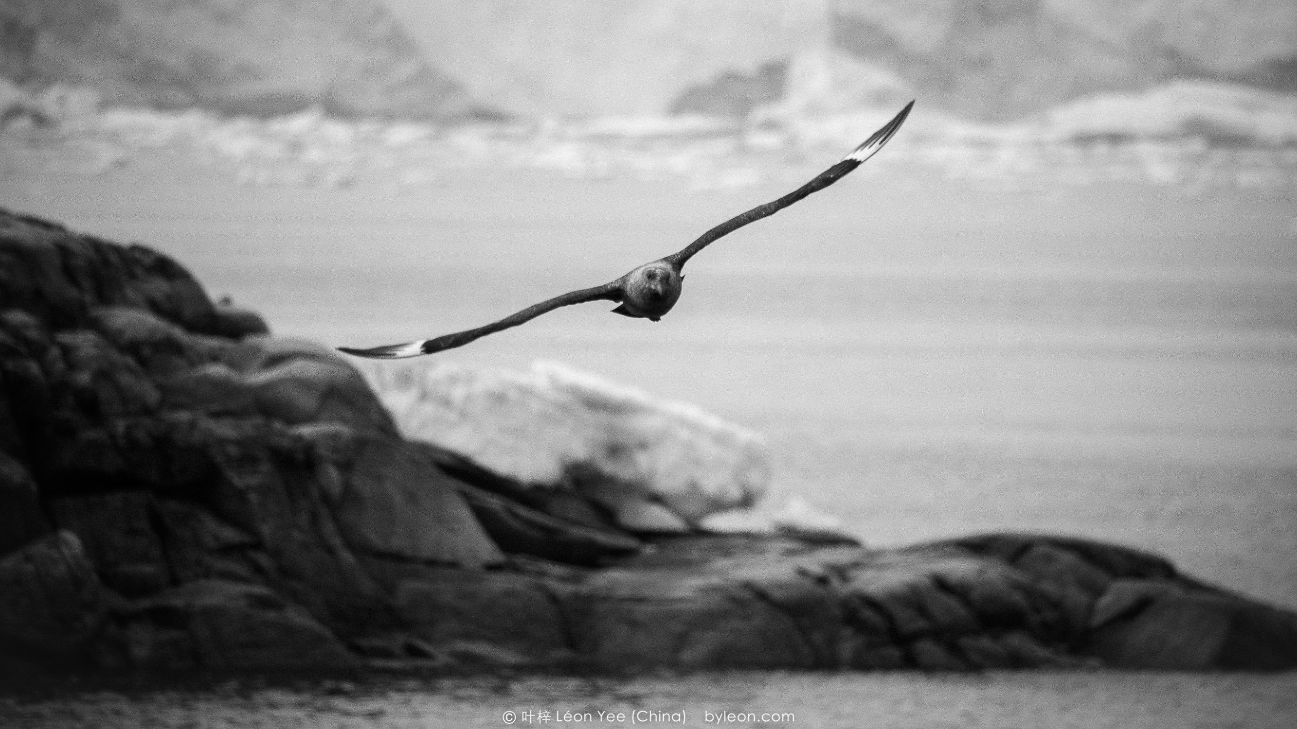 增倍镜如何调整焦距,增倍镜与广角镜区别