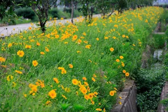 一封火爆全网的辞职信,一封辞职信的心声