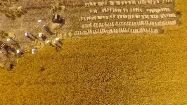 一封火爆全网的辞职信,一封辞职信的心声