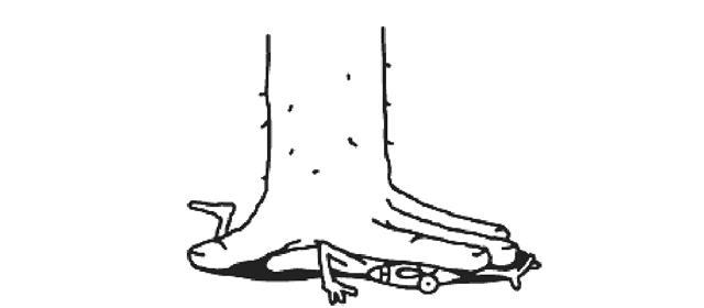 如何修复破碎的婚姻,破裂的婚姻要一直修复吗