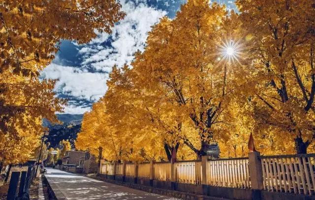 到底是去西藏还是去川西,西藏与川西这辈子总要来一趟吧