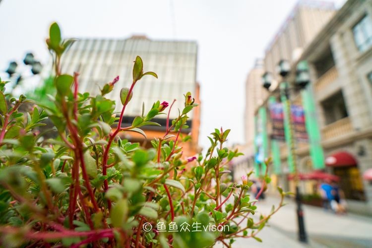 武汉的江汉路是中国最长的步行街,武汉最大最经典的步行街