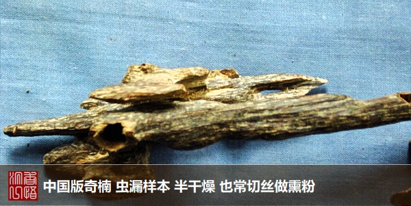 土豪扫货沉香惊世界中国版奇楠名声在外-沉香基础知识45