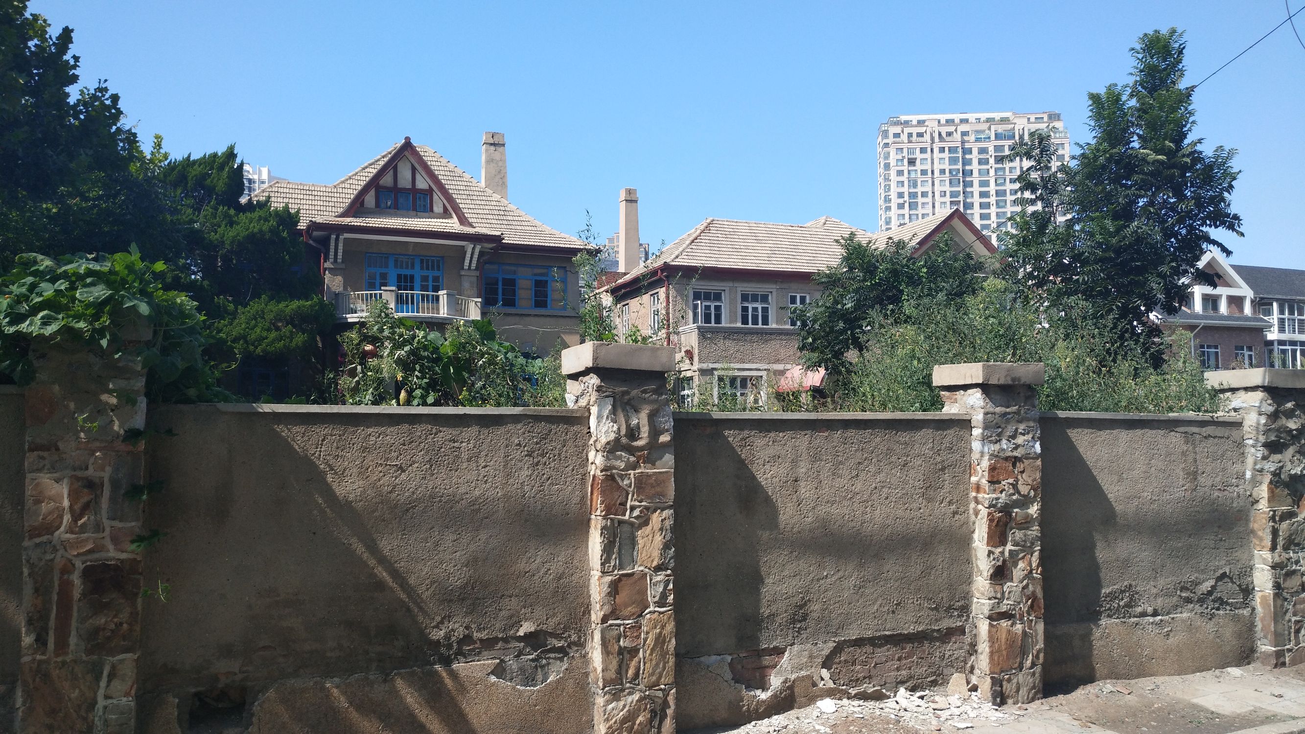 大王叫我来“巡街”：大连星海广场、星海公园、黑石礁