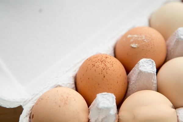 买鸡蛋打碎了什么征兆,鸡蛋生出来畸形的怎么回事