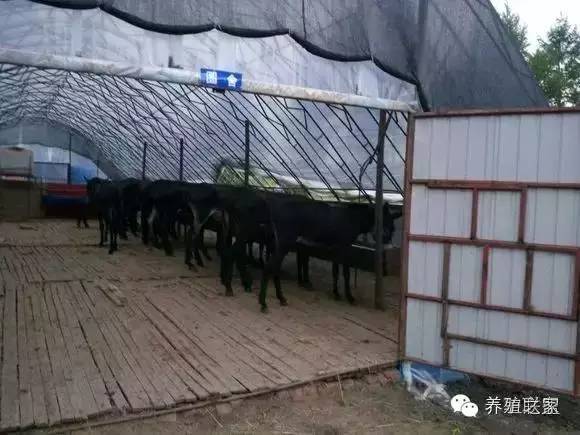 交流养殖经验找对方法很重要,交流养殖经验