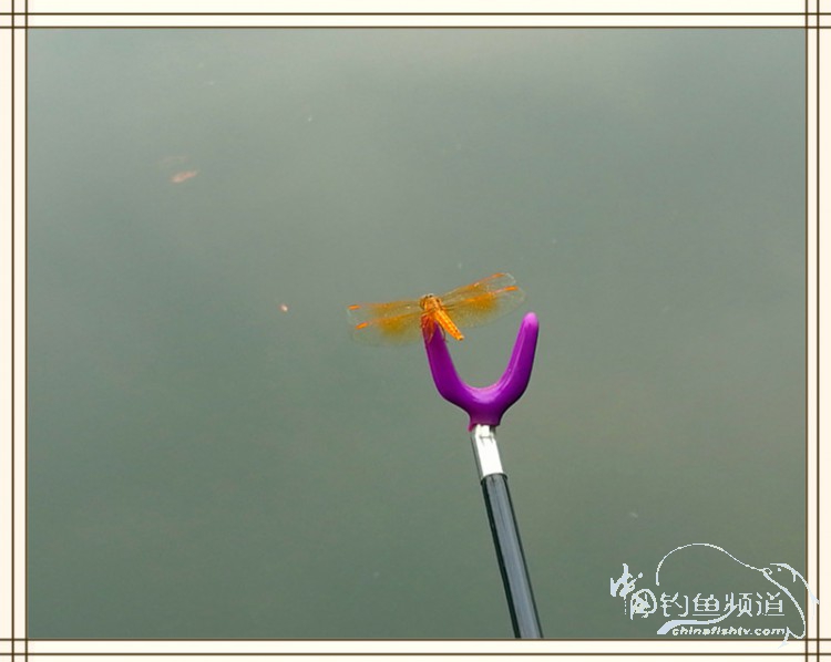 钓鱼独辟蹊径,钓鱼不求渔获