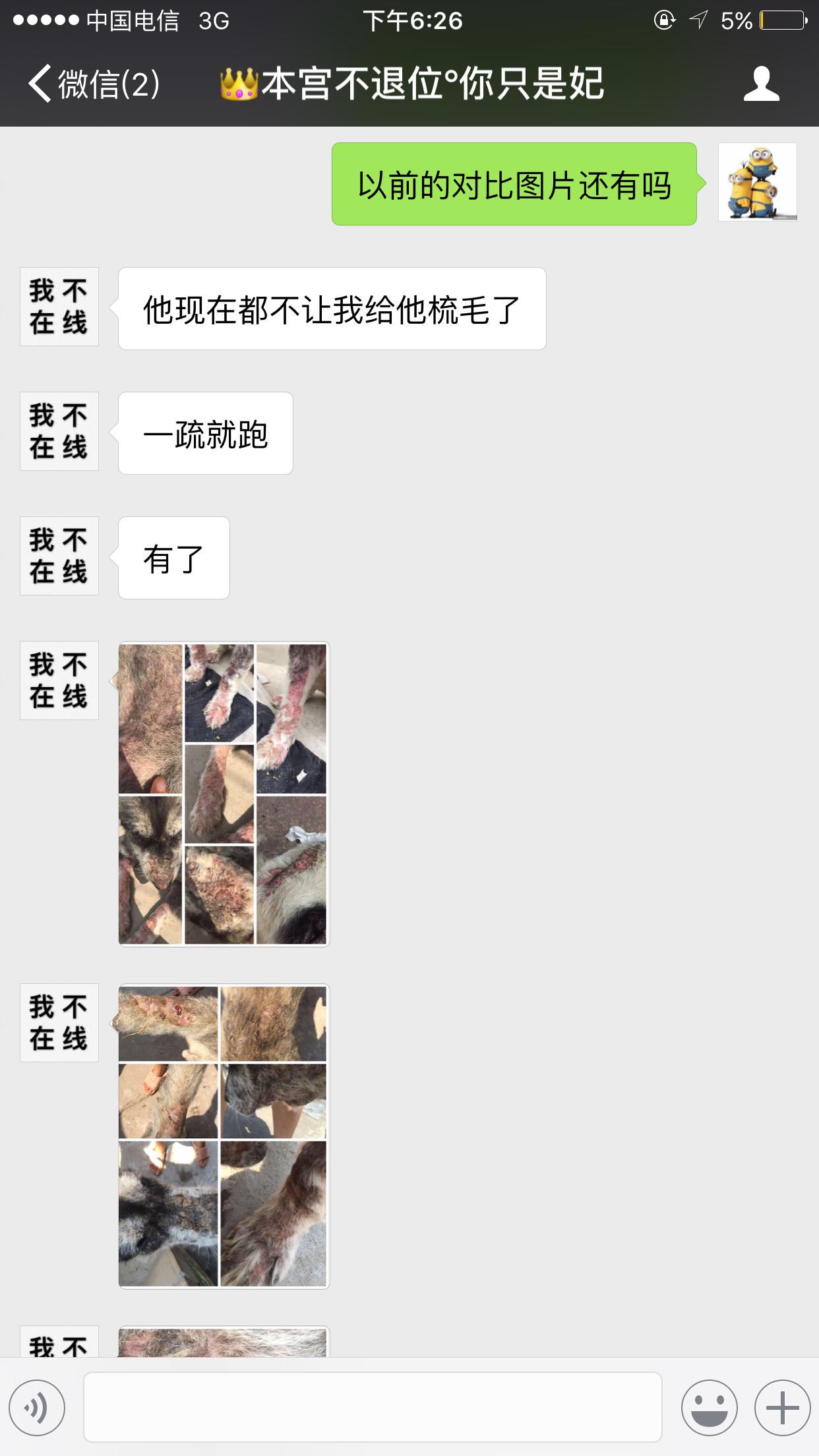 给狗狗洗澡后变样了,如何不给狗狗洗澡也能变干净