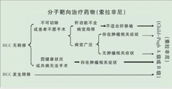 肝癌晚期食疗法,中医对晚期肝癌有何调养处方