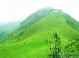 广东的草原在哪,广东附近哪里有草原