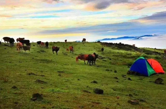 广东的草原在哪,广东附近哪里有草原